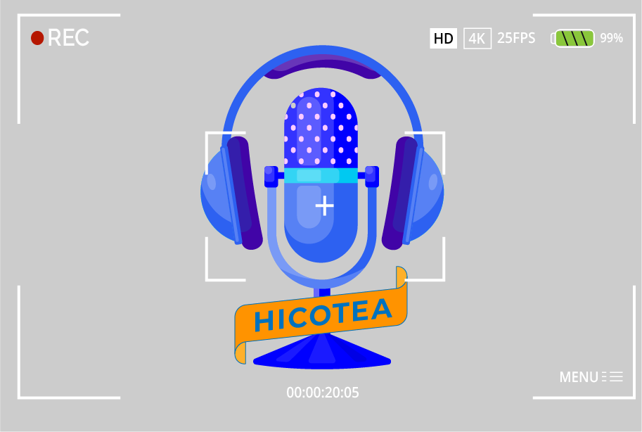 Proyecto Hicotea